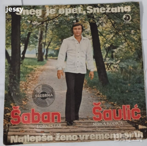 Saban Saulic - Колекция плочи, снимка 6 - Грамофонни плочи - 54768569