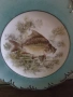Порцеланова чиния за стена ROSENTHAL, снимка 2