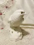 порцеланова статуетка , снимка 3