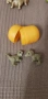 Динозаври от kinder natoons, снимка 7