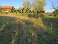 Къща село Райново, снимка 4