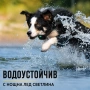 Електронни налийници за кучета, снимка 5