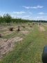 Дънери за горене, снимка 1