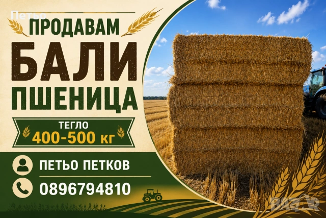 Продавам бали пшеница реколка 2026г
