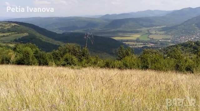 Парцел с. Челопек, снимка 5 - Парцели - 54795627