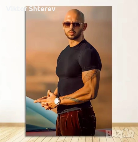 Andrew Tate Канвас Постери, снимка 6 - Пана - 55071295