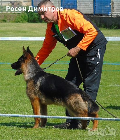 Walter von Rozzen 6 месеца