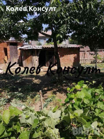 🥇Агенция „Колев Консулт“ продава едноетажна къща  село Славяново,областХасково, снимка 4 - Къщи - 54079726