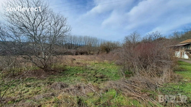 Продавам два съседни парцела в местност Севлиевски лозя , снимка 12 - Парцели - 54082851