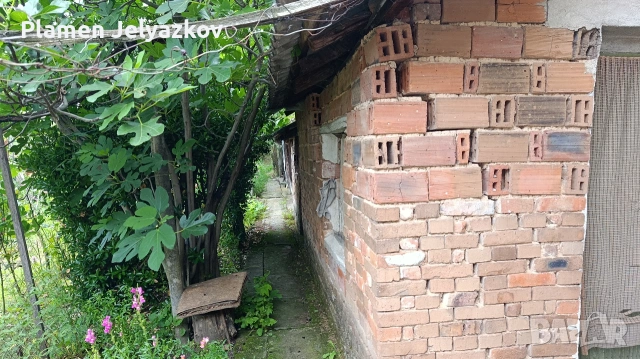Продавам къща със дворно място в село Михайлово, , снимка 5 - Къщи - 55073937