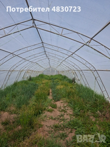 Продавам оранжерии