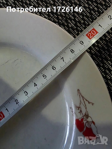 Порцеланова чиния на Разград , снимка 5 - Чинии - 54352341