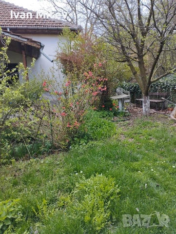 къща в с.Ласкар, снимка 15 - Къщи - 55241501