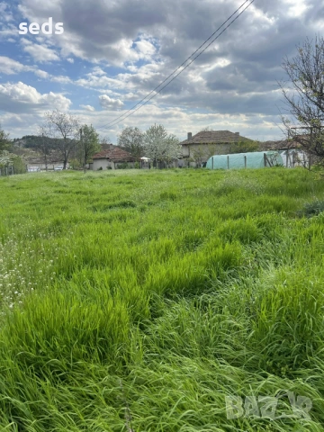 Парцел с къща 1489 кв.м с. Памукчии, обл. Шумен, снимка 8 - Парцели - 54315968