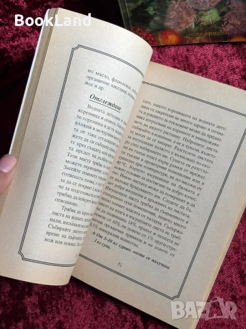 Отглеждане на билки| Колхида, снимка 13 - Други - 54367985