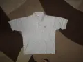 Тениски LACOSTE  мъжки,ХЛ и 3ХЛ, снимка 6