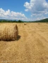 Продавам рулонни бали, снимка 2