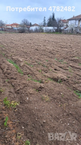 Продавам дворно място в с. Скутаре, снимка 2 - Парцели - 54030331