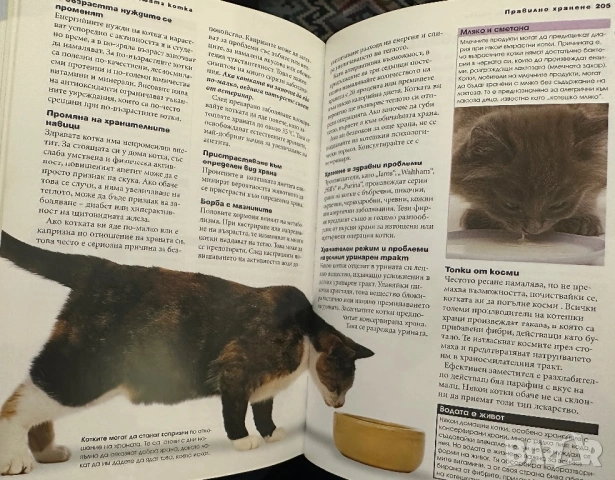 Всичко за котката -д-р Брус Фогъл-наръчник на собственика, снимка 4 - Енциклопедии, справочници - 54399030