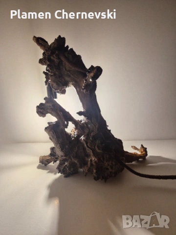 Лампа от естествено дърво, снимка 4 - Декорация за дома - 54278547