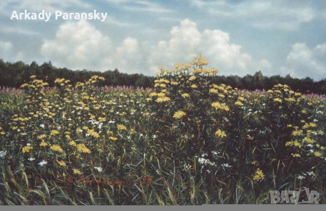 Поле с храсти вратига