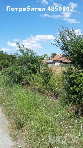 ЧАСТНО ЛИЦЕ: Парцел в регулация 3 дка с ток и вода, с. Трънково (лице на асфалт), снимка 5 - Парцели - 54947207