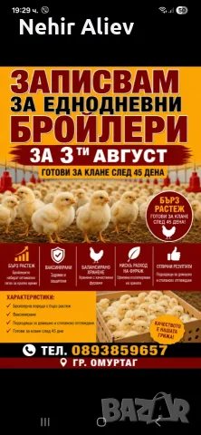 Записвам за еднодневни бройлерчета