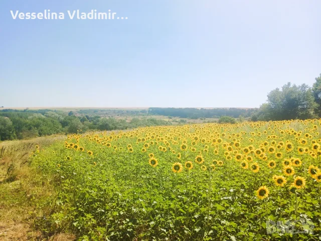 Продава се имот идеален за енергийно независим проект (Off - Grid )., снимка 9 - Парцели - 55501120