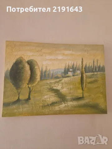 много картини с рамки, снимка 4 - Картини - 55687068