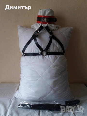 Харнес с нашийник, снимка 2 - Други - 54247839