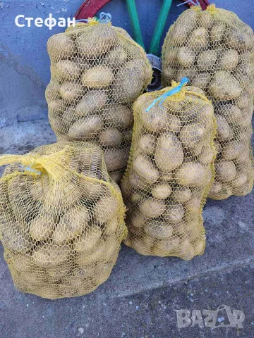 продавам картофи