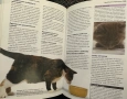 Всичко за котката -д-р Брус Фогъл-наръчник на собственика, снимка 4