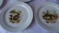Шест броя чинии за основно Eschenbach Porzellan. Мотив диви ловни животни. , снимка 5