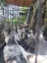 Английски типлери. , снимка 5