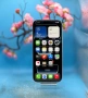 ГАРАНЦИОНЕН!!! Apple iPhone 17 Pro Max, 2TB, 5G, Silver + подарък ново зарядно у-во Apple , снимка 3