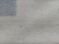 2 броя одеала с размери 220 х 170 и 210 х 160, снимка 7