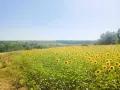 Продава се имот идеален за енергийно независим проект (Off - Grid )., снимка 9