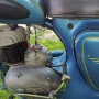 Balkan 250 M2 (1961) - Fully Restored & Original, снимка 4
