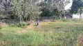 Парцел с ток и вода, снимка 1