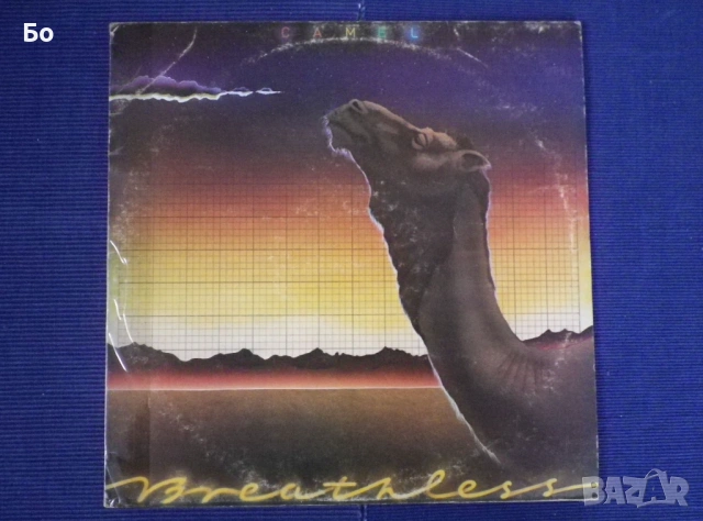 грамофонни плочи Camel, снимка 10 - Грамофонни плочи - 54018929