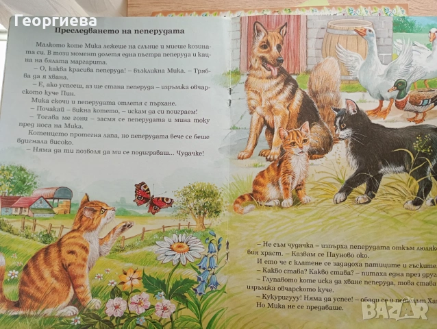 Книжки детски, снимка 7 - Детски книжки - 54579644