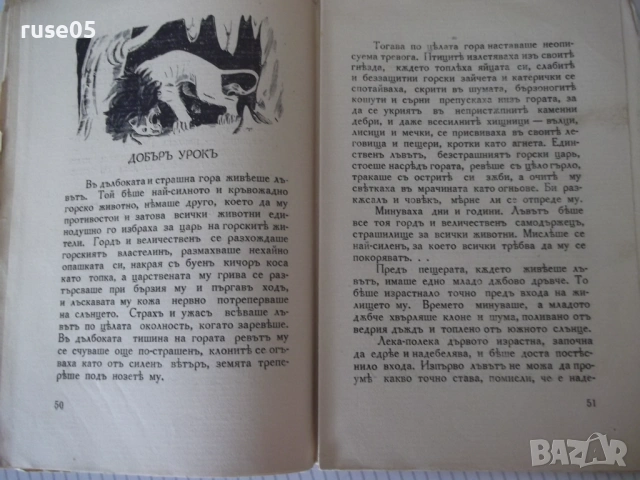 Книга "Майчино сърдце - Атанасъ Душковъ" - 64 стр., снимка 6 - Детски книжки - 54729789