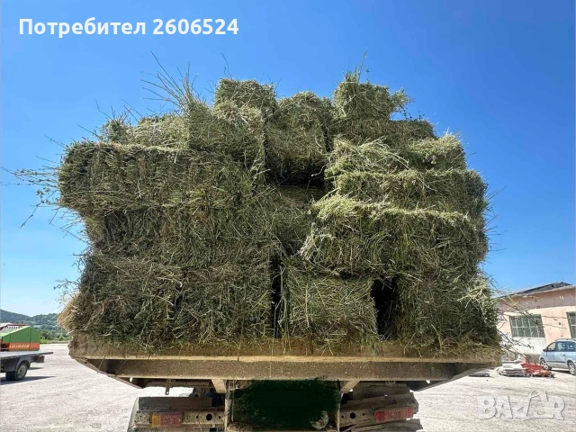 Малки бали люцерна 