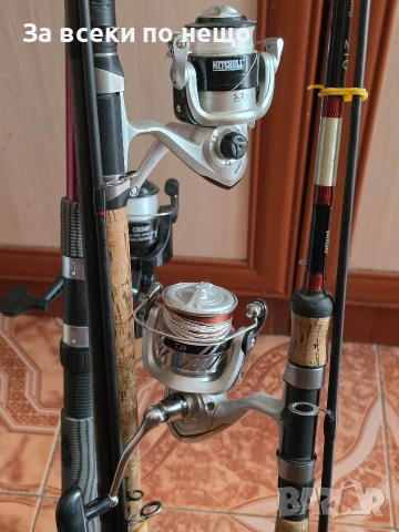 Въдица за големи шарани, снимка 6 - Въдици - 53643137
