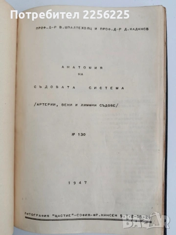 Анатомия на човека - сърце и вътрешни органи/ артерии, вени и лимфни съдове, снимка 5 - Специализирана литература - 54439820