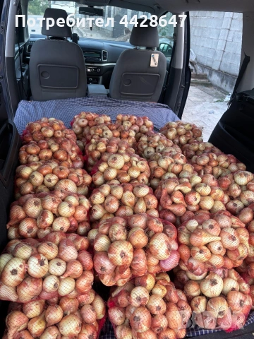 Продавам Български лук(лясковец 55), снимка 3 - Други услуги - 55212632