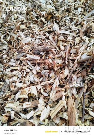 ЧЕРНИЧЕВ МУЛЧ / ДЪРВЕСЕН ЧИПС / Натурален Мулч - ГРАДИНАРСКОТО ЗЛАТО, снимка 17 - Градински цветя и растения - 51494873