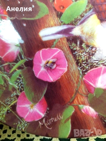 6 чинии за стена Coalport Англия , снимка 2 - Декорация за дома - 54233352