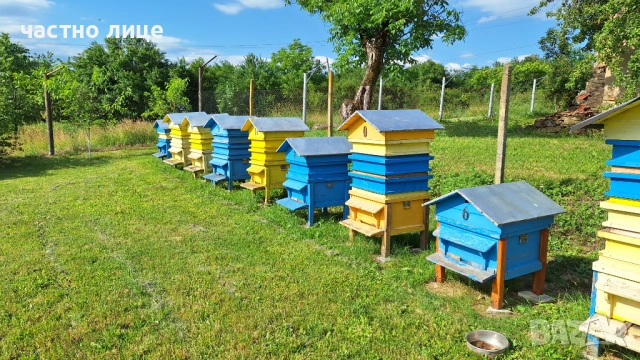 Продваам 12 рамкови кошери , снимка 5 - За пчели - 54725324