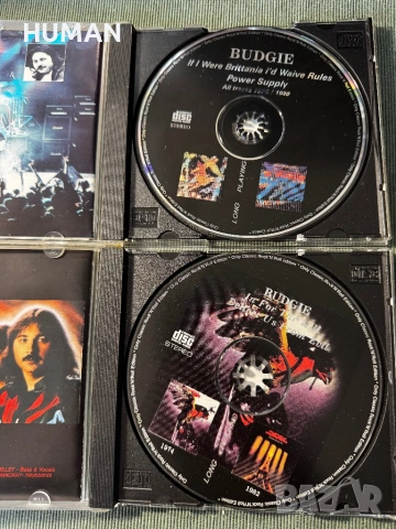 Suzi Quatro - The Rubettes - Budgie, снимка 17 - CD дискове - 54516866